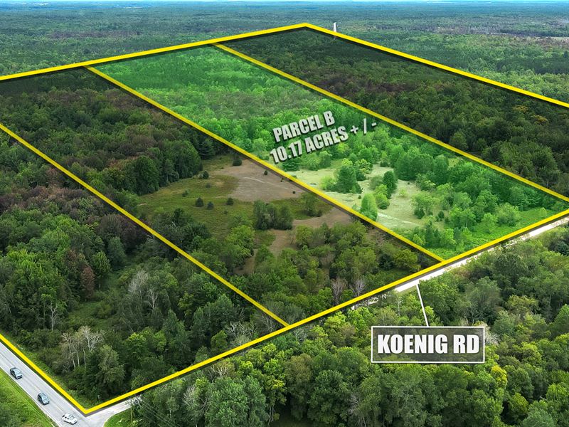 10.17 Ac Lot in Mason County, MI : Manistee : Mason County : Michigan