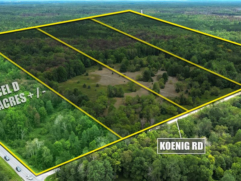 10.17 Acre Lot in Mason County, MI : Manistee : Mason County : Michigan