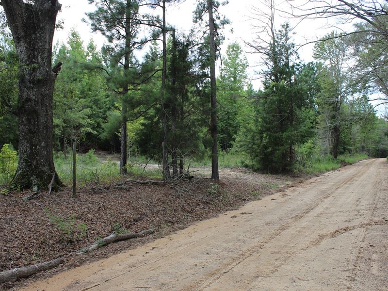 Country Home or Cabin Site : Troy : Pike County : Alabama