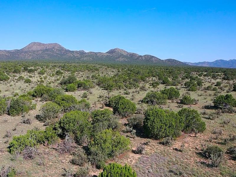 Freedom Ranch : Edgewood : Santa Fe County : New Mexico