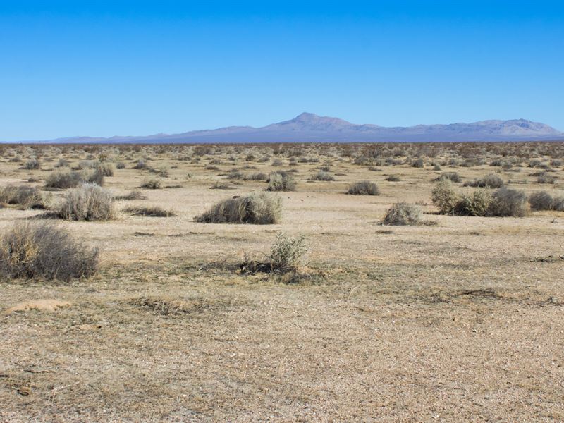 2 Hour Escape From LA : Boron : San Bernardino County : California