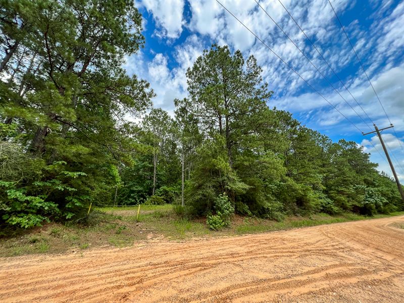 10 Acres, T-14A Hickman Rd : Corrigan : Polk County : Texas