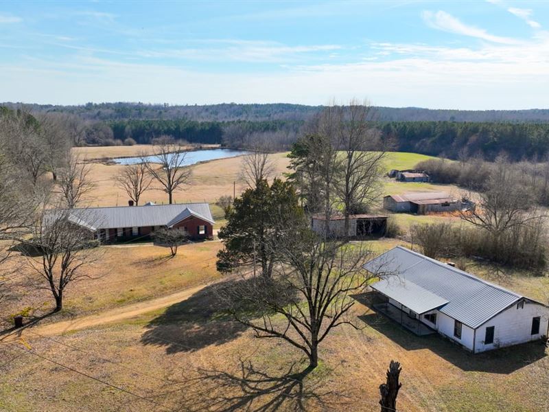 Webster County, 167 Acres, Hays : Eupora : Webster County : Mississippi