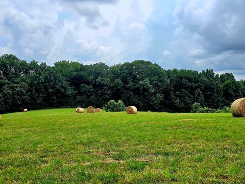 100Ac Great Oaks Farm : Arp : Lauderdale County : Tennessee