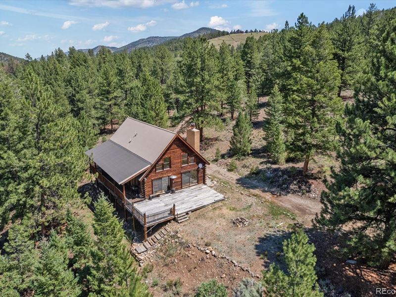 Cabin in The Woods : Poncha Springs : Chaffee County : Colorado