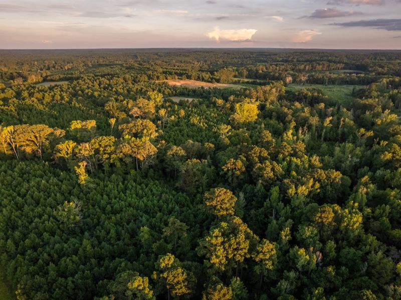 Cross Creek Ranch : Woodlawn : Harrison County : Texas