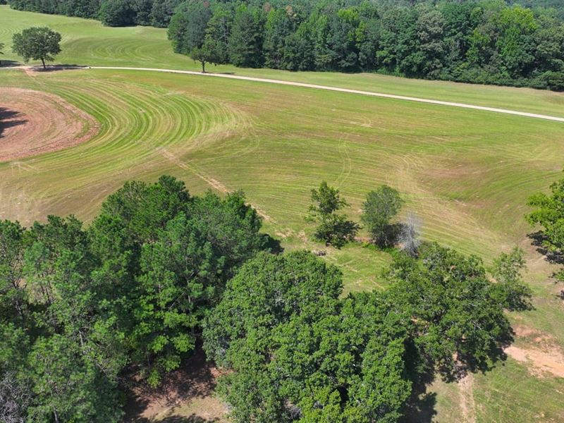 Pickens County 77 Ac, Water Mill Rd : Reform : Pickens County : Alabama