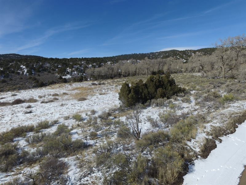 Outstanding Views on 5.078 Acres : Fort Garland : Costilla County : Colorado