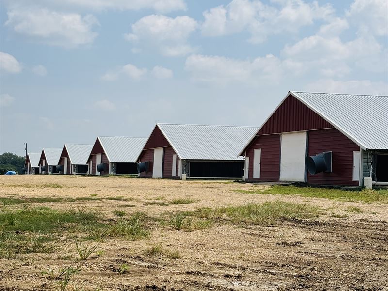 12 House Broiler Farm with Barndo : Aberdeen : Monroe County : Mississippi