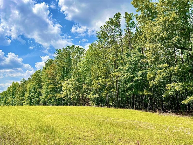 Big Hardwoods and Hunting : Gray : Jones County : Georgia