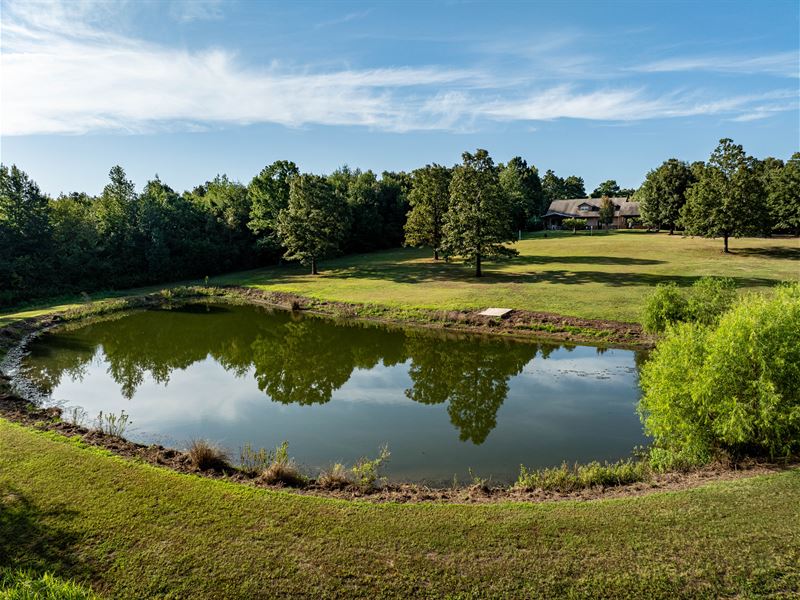 Twisted Oak Ranch, 192 Acres : Detroit : Red River County : Texas