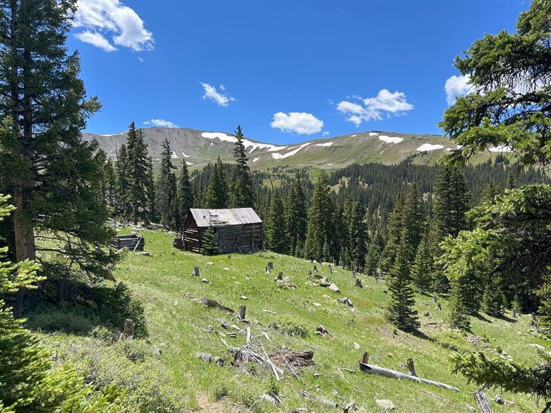 Backcountry Hunting Property Road 3 : Buena Vista : Chaffee County : Colorado