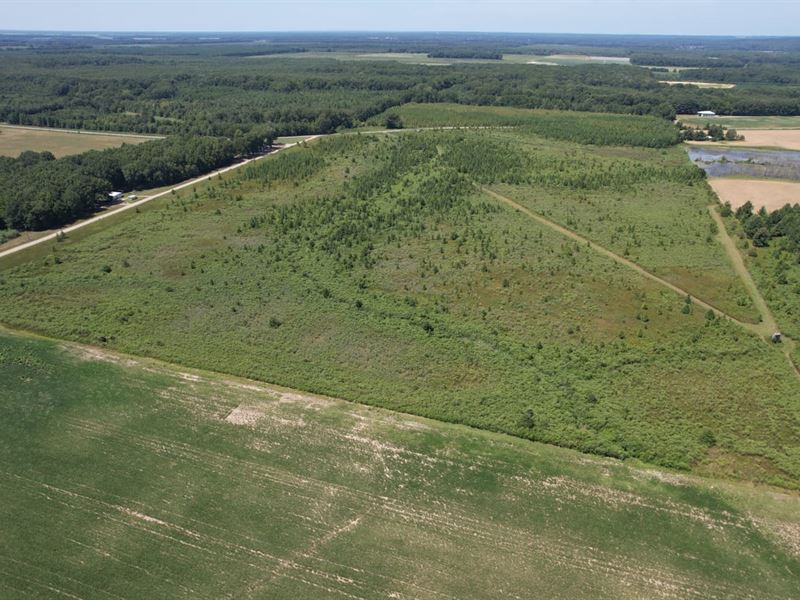 Rio Vista 80 : Bald Knob : White County : Arkansas