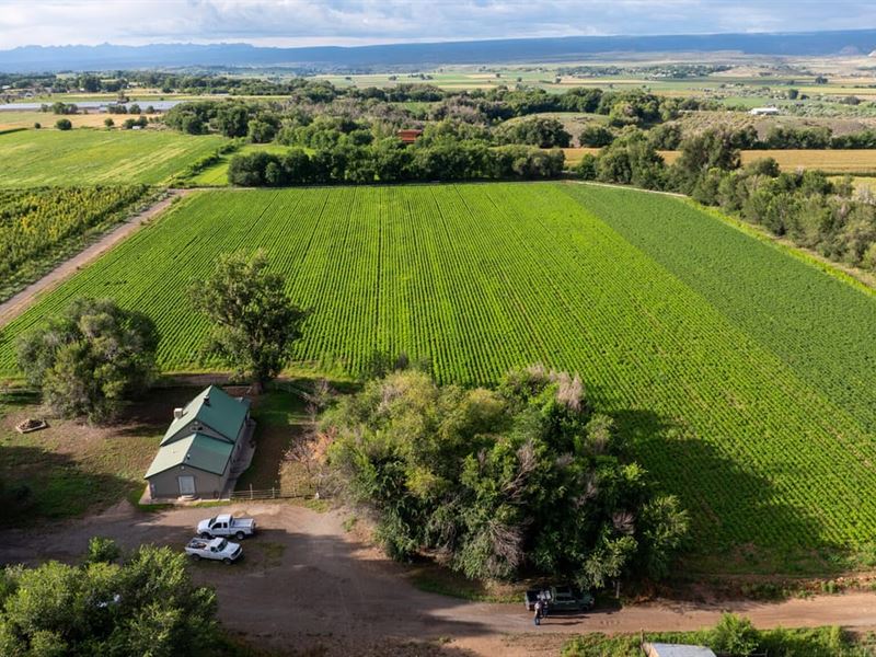 Olathe Colorado Farm for Sale, Wate : Olathe : Montrose County : Colorado