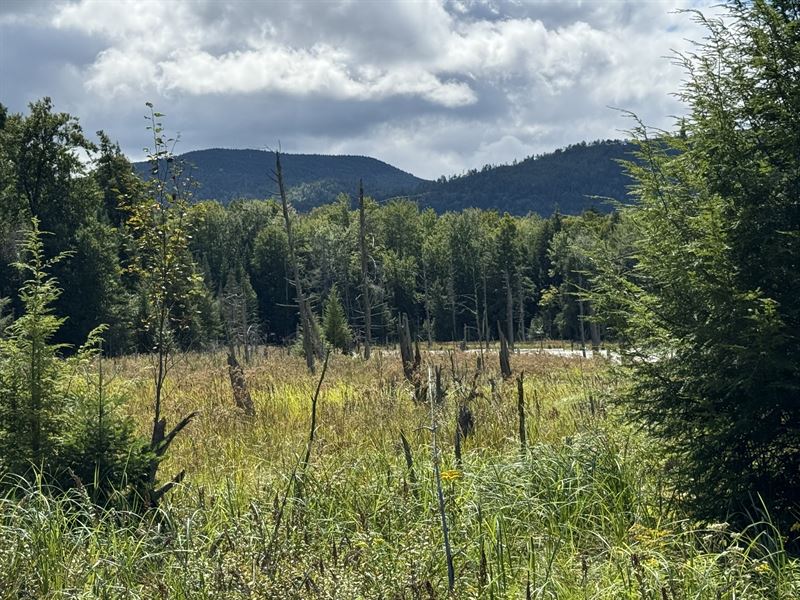 Pine Mountain Views : Johnsburg : Warren County : New York