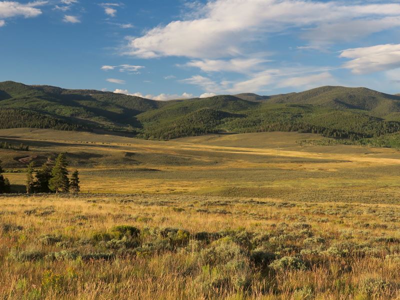 Quakey Mountain Ranch : Gunnison : Gunnison County : Colorado