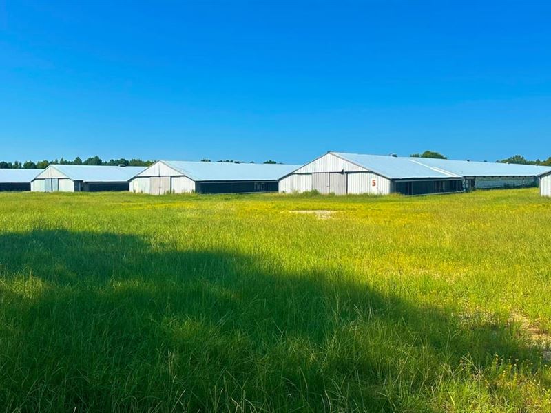 6 Inactive Poultry Houses : Milledgeville : Baldwin County : Georgia