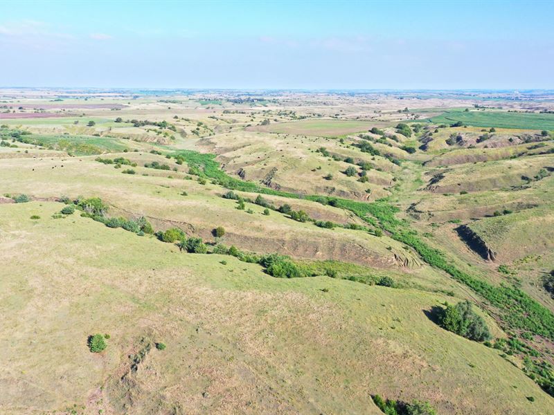 300 Acres, Frontier County Grass : Curtis : Frontier County : Nebraska