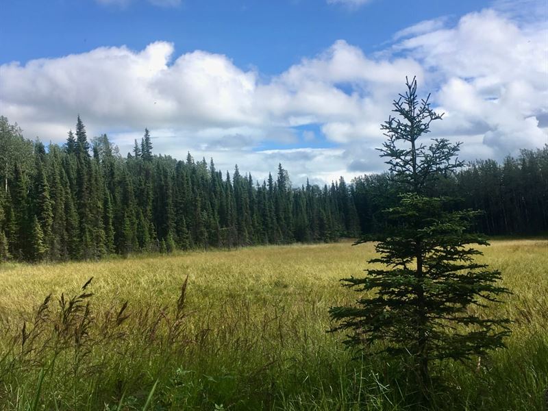 10 Acres Near Kasilof River : Kasilof : Kenai Peninsula Borough : Alaska