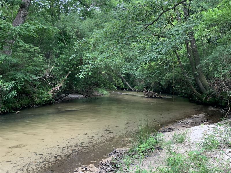 Ten Mile Creek : Foxworth : Marion County : Mississippi