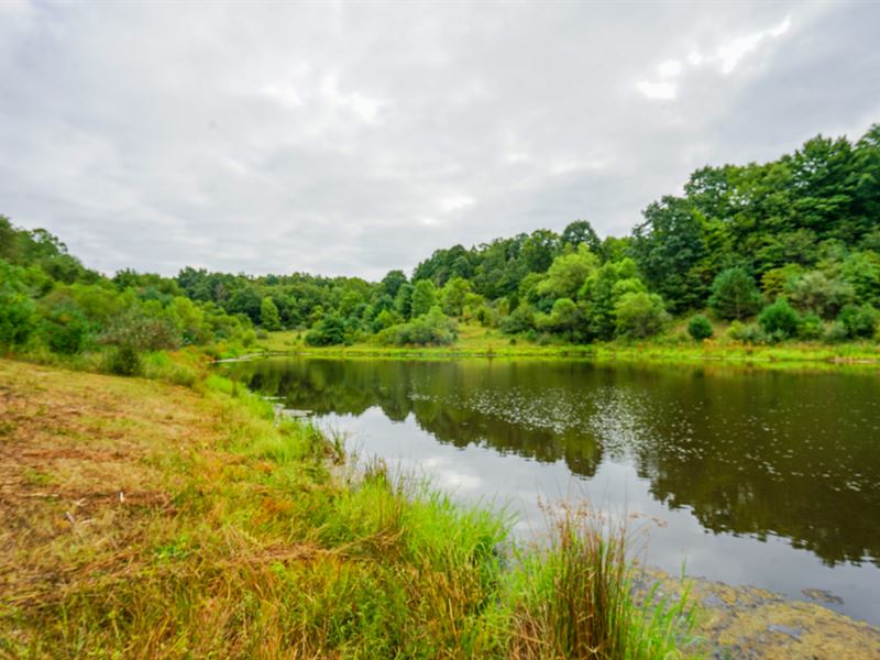 Lot 1 Cannelville Rd, 146 Acres : Roseville : Muskingum County : Ohio