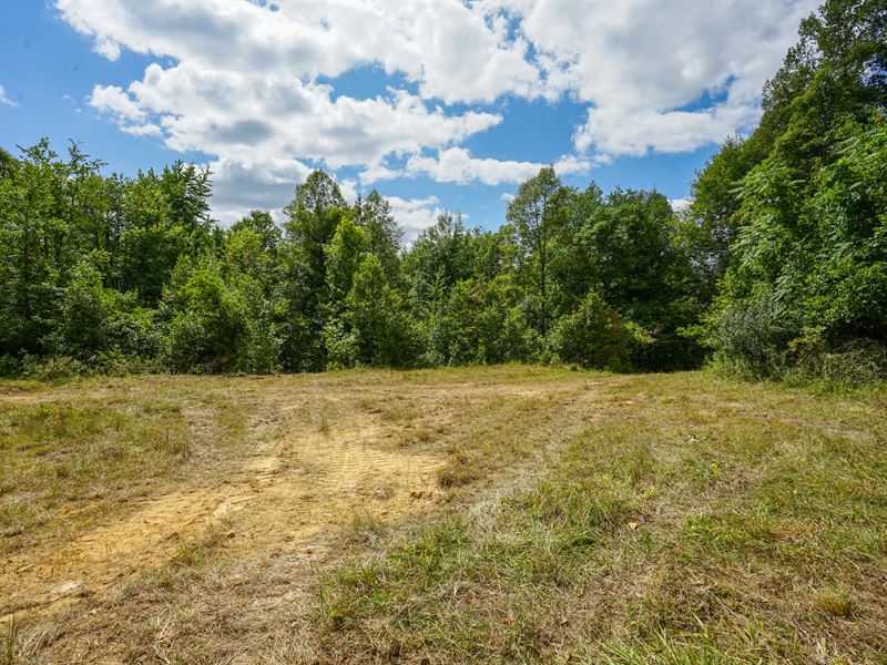 Lot 7 Rider Rd, 38 Acres : Roseville : Muskingum County : Ohio