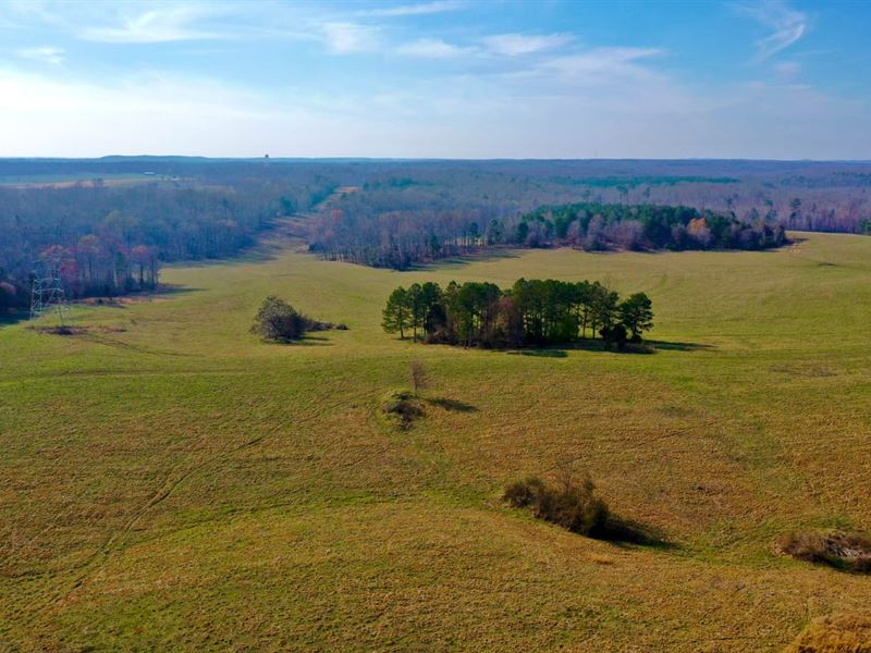 521 Acre Cattle Farm in Hardin Coun : Savannah : Hardin County : Tennessee