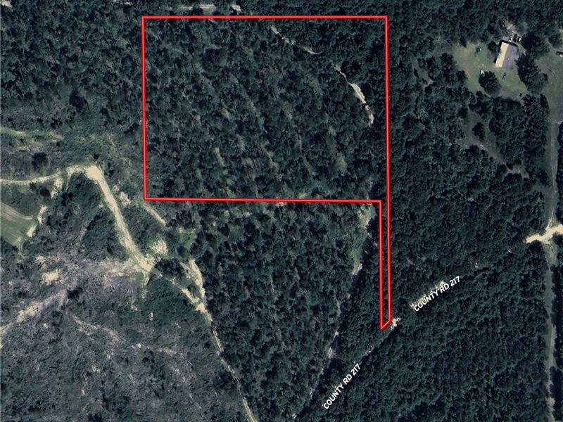 Ariton 8 Acre Homestead : Ariton : Dale County : Alabama