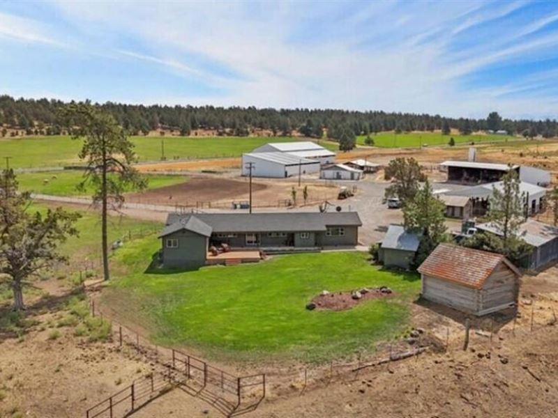 Gorgeous Home on 133 Acre Farm : Bonanza : Klamath County : Oregon