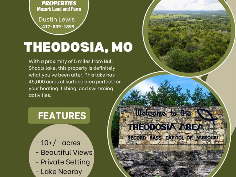 Investment Beauty : Theodosia : Ozark County : Missouri