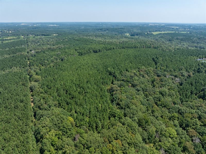 Mount Herman : Center : Shelby County : Texas