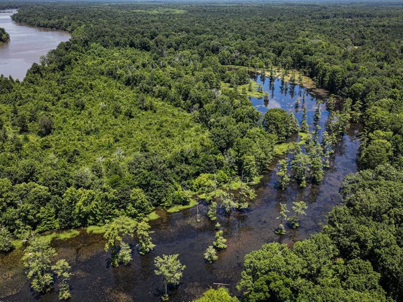 Lowndes County, Hairston Bend Hunt : Columbus : Lowndes County : Mississippi