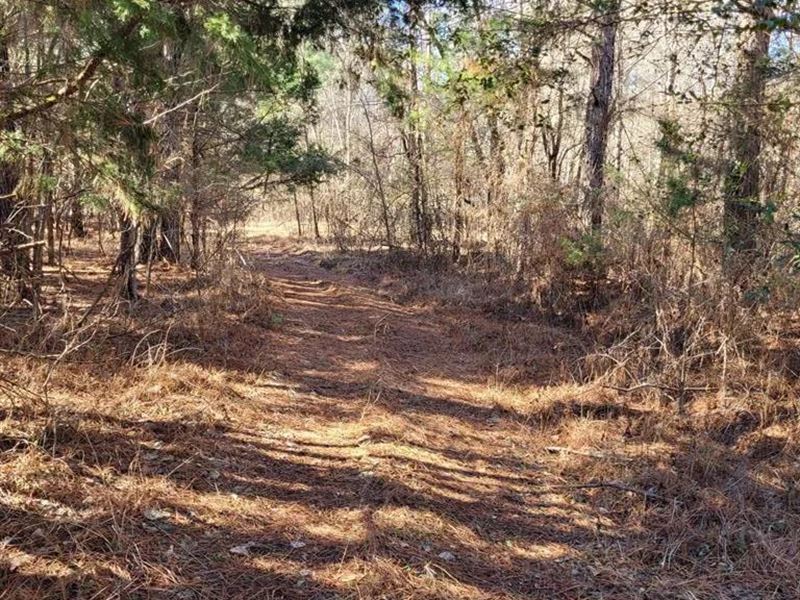 10 Acres in Lafayette County, MS : Taylor : Lafayette County : Mississippi