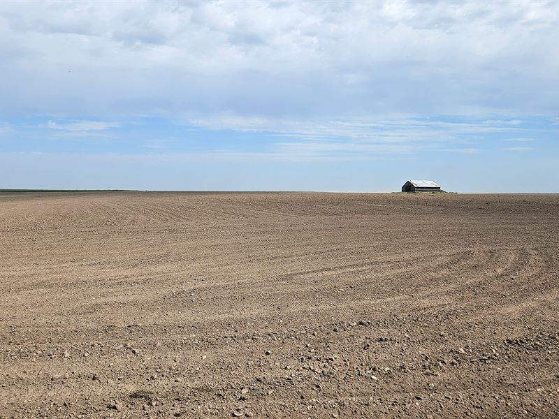 North Chappell Dryland : Chappell : Deuel County : Nebraska