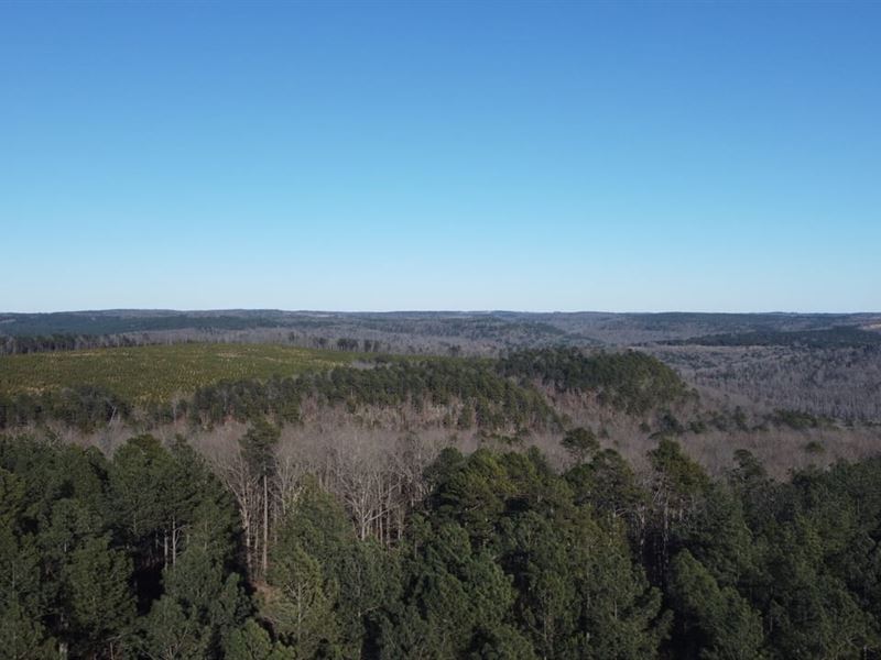 Just in Time for Hunting Season : Mountain View : Stone County : Arkansas