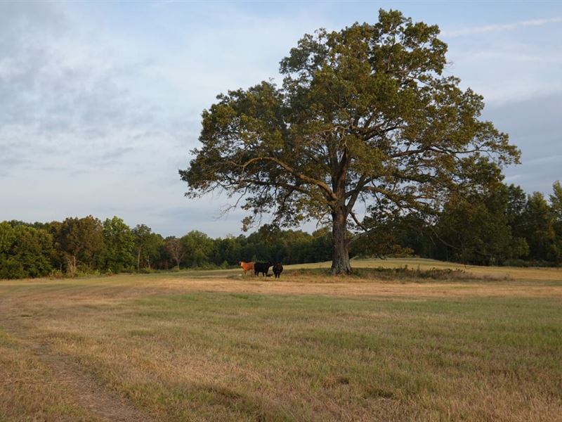 Lampton Ranch on Rock Creek : Hugo : Choctaw County : Oklahoma