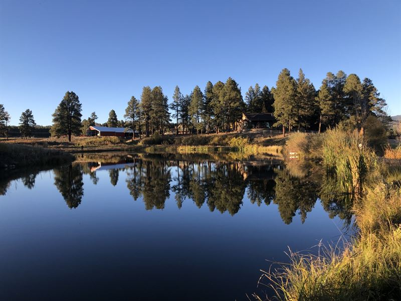 Pine Meadows Ranch : Bayfield : La Plata County : Colorado