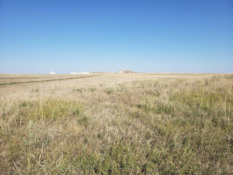 Anderson's Butte View Ranch : Akron : Washington County : Colorado