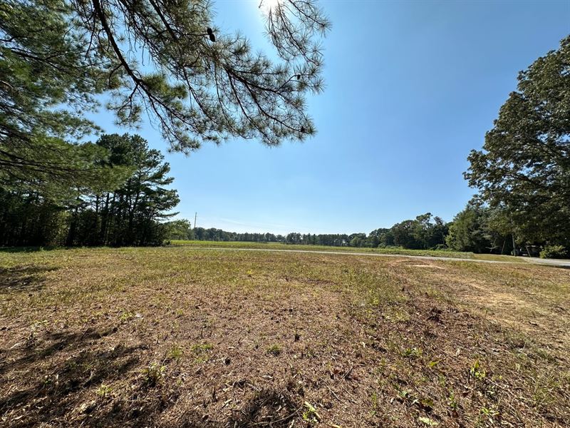 Delashaw Road Development Tract : Haleyville : Winston County : Alabama