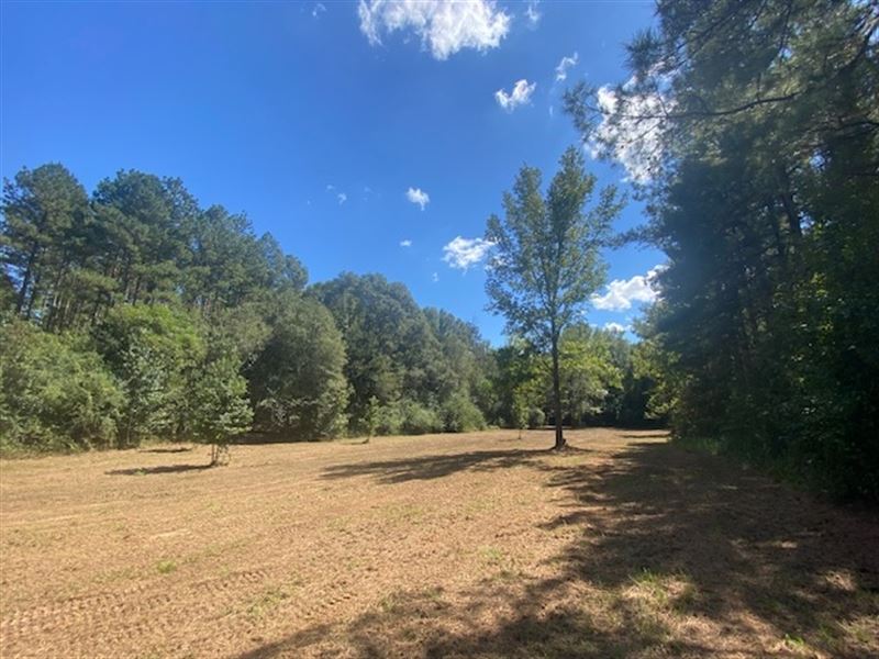 60 Acres, Mature Timber, Salem Scho : Tylertown : Walthall County : Mississippi