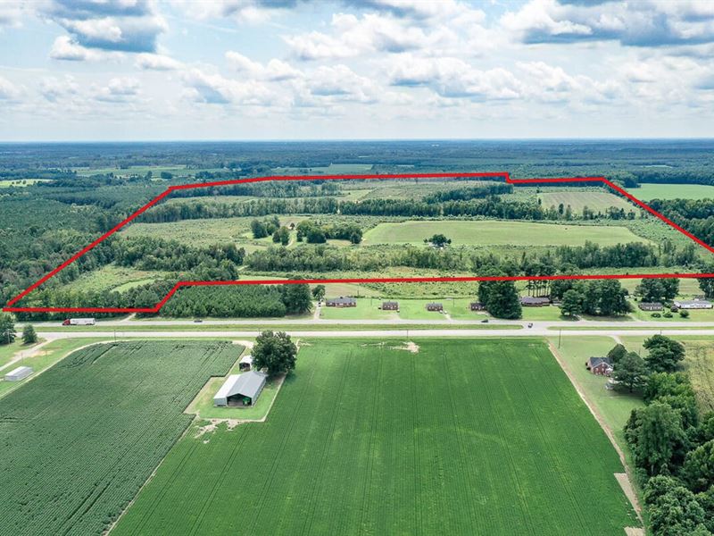 230 Acres of Farmland for Sale : Courtland : Southampton County : Virginia