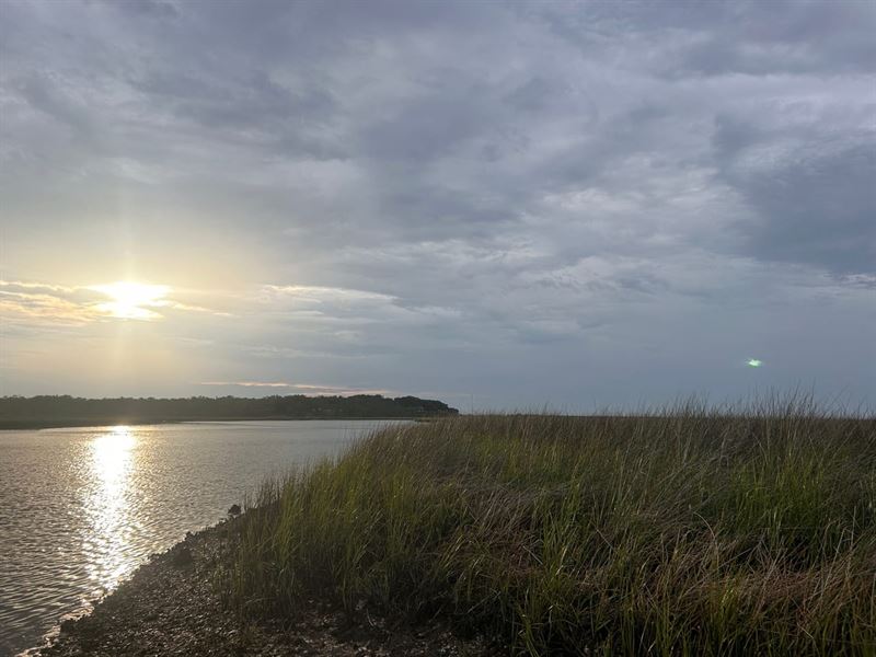 Island on The St John's River : Jacksonville : Duval County : Florida