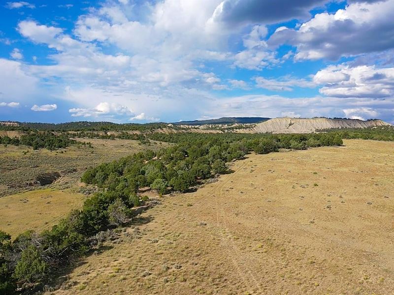 Woodall Ranch : Tierra Amarilla : Rio Arriba County : New Mexico