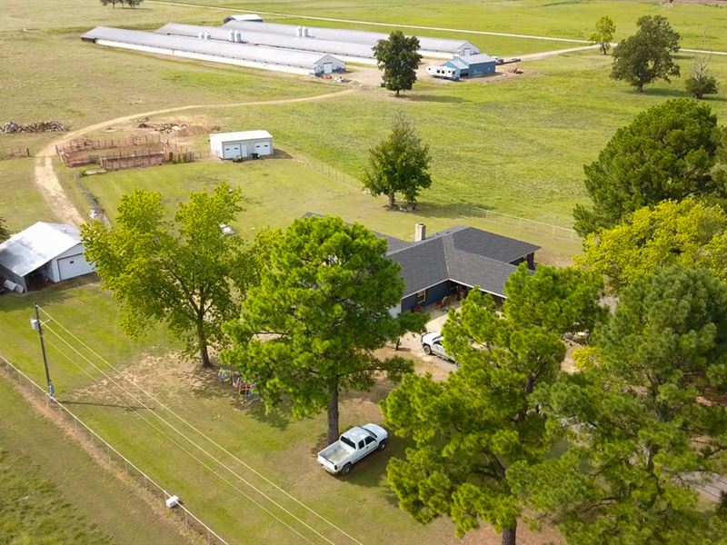 Premier Butterball Turkey Farm : Charleston : Franklin County : Arkansas