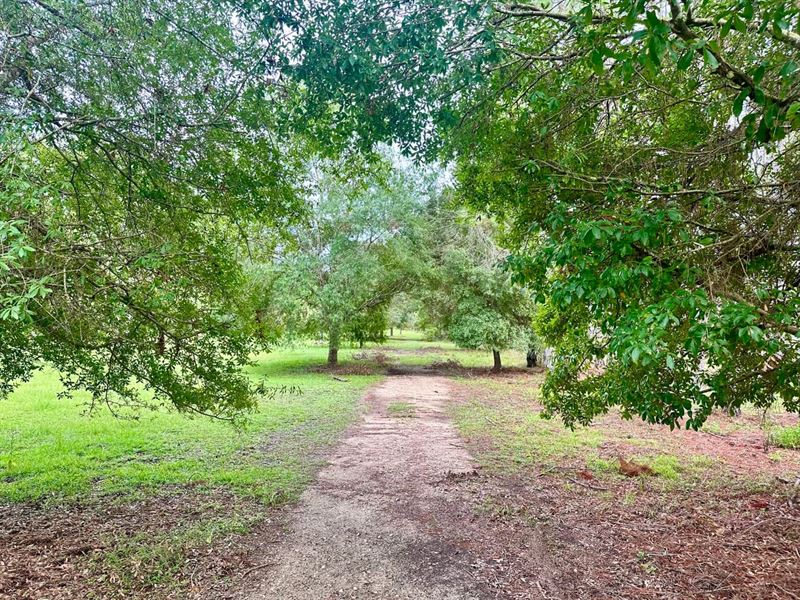 North Taylor Hunt Camp : Greenville : Taylor County : Florida