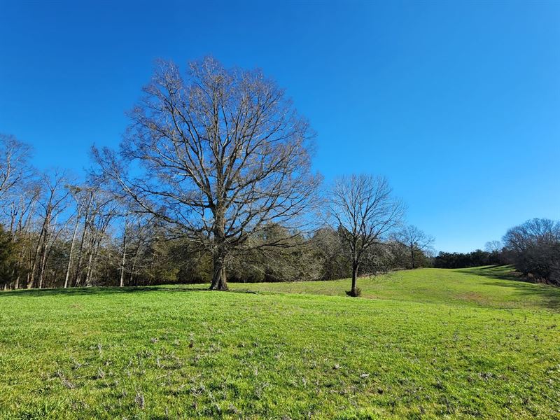 40Ac, 4800 Hula Drive Heath Sp : Heath Springs : Lancaster County : South Carolina