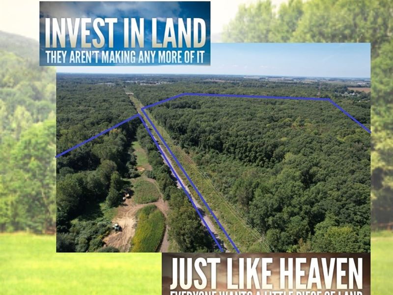 63.8 Acre Build Site, Wooded : Petersburg : Monroe County : Michigan