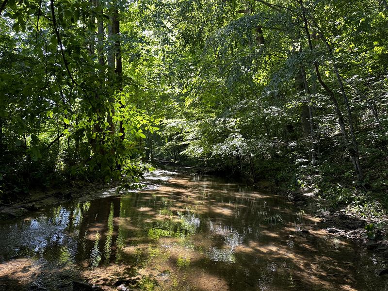 Tract 4, Wayne National Forest : Patriot : Gallia County : Ohio