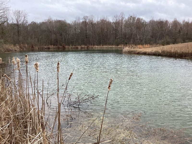 Martin Pond and Land : Luverne : Crenshaw County : Alabama