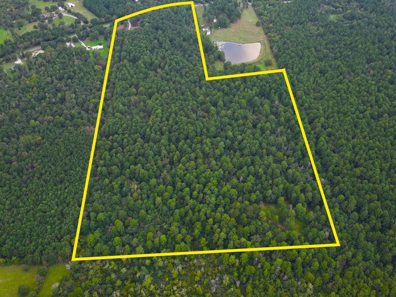 52 Acres 4955 FM 1374 : Huntsville : Walker County : Texas